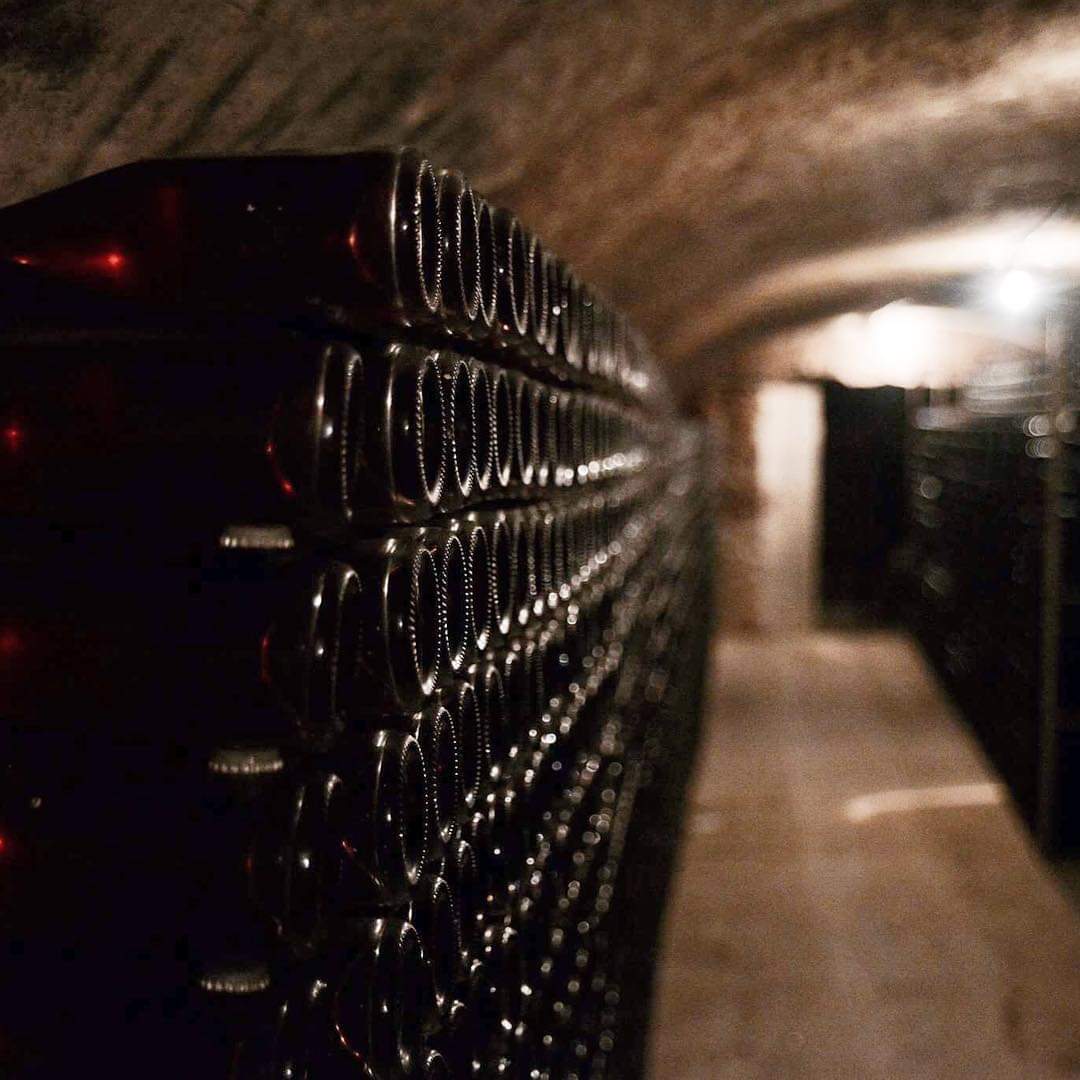 Champagnes-sur-lie-en-cave